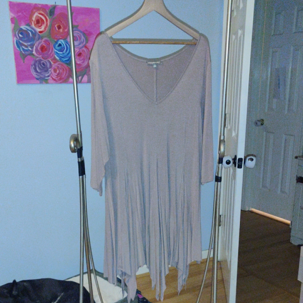 Kate & Mallory Brown Asymmetrical Pleated Tunic